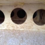 Flauschiger Schimmel im Inneren