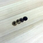 Tragegriff aus massivem Paulownia-Holz