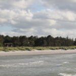 Idyllisch - Häuser im Wäldchen hinter dem Deich in Heidkate
