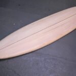 Schlankes Pintail
